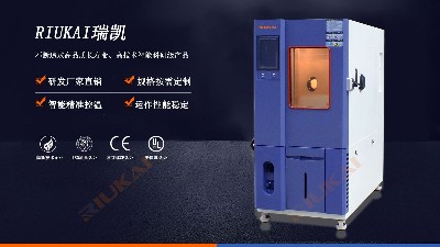 官方揭秘：新品RK-TH-100L可程式91免费观看视频的各大亮点
