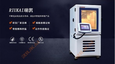 100L91免费观看视频