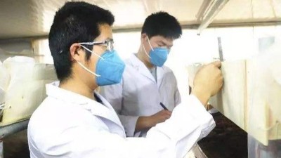 负载对91免费观看视频的温湿度性能有哪些影响？